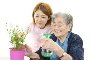 Homecare Weddington NC - Gardening Tips for Seniors with Mobility Problems