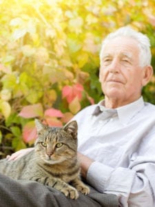 Elderly Care Mooresville NC - 3 Reasons Why Seniors Should Adopt a Cat