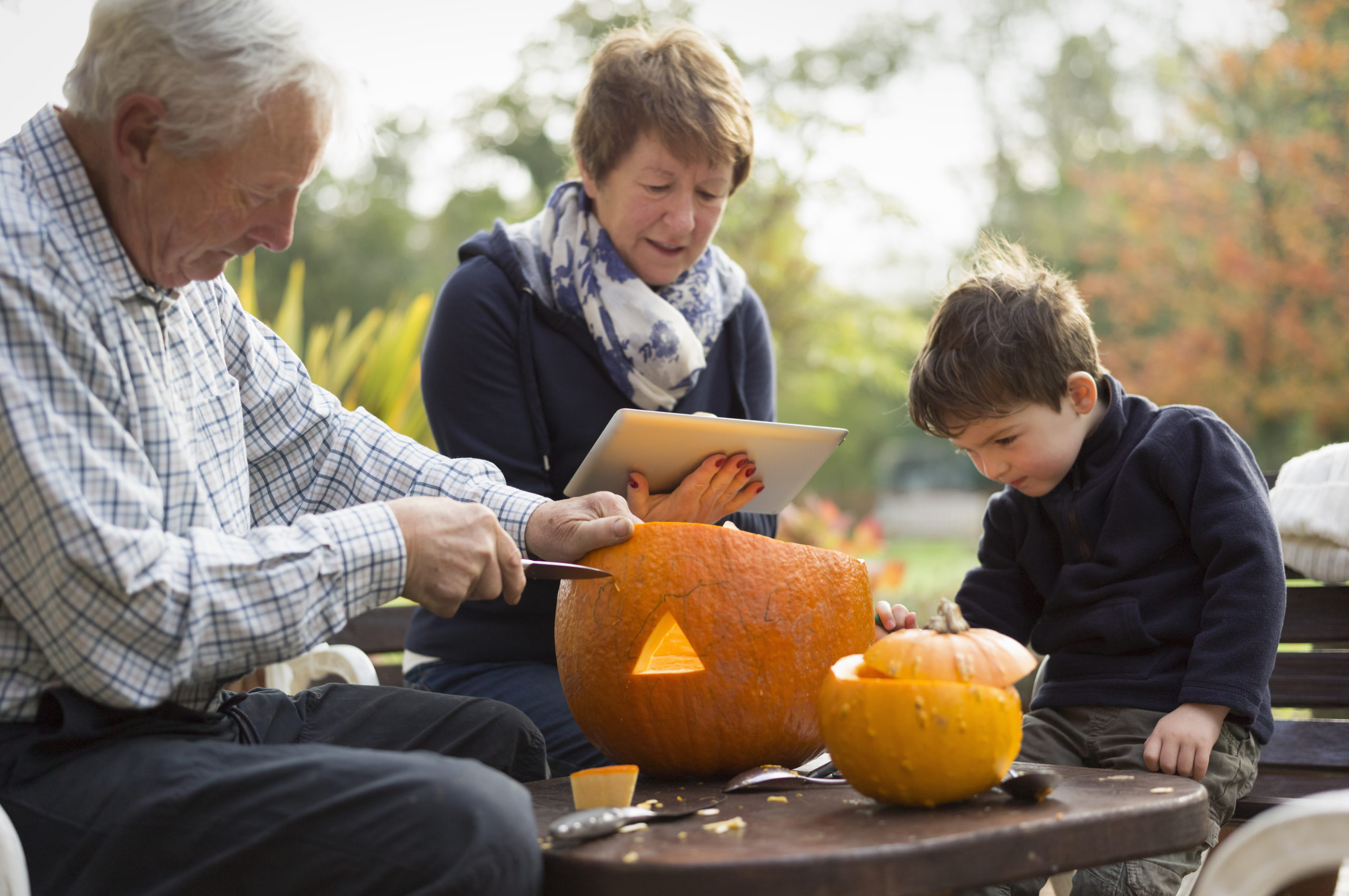 Fall activities for seniors